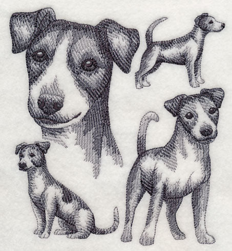 Jack Russell Terrier Sketch (Full Tail)