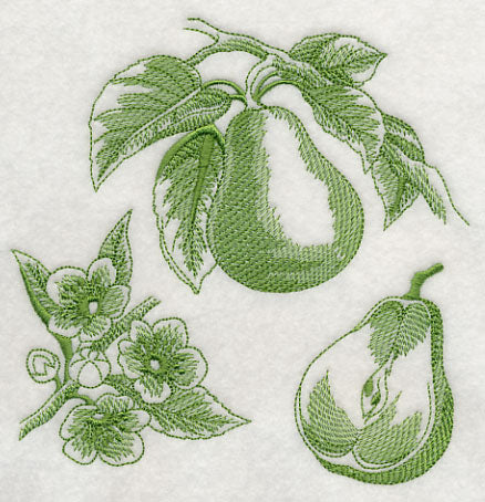 Pear Botanical (Toile)