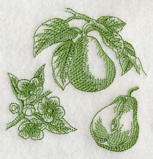 Pear Botanical (Toile)