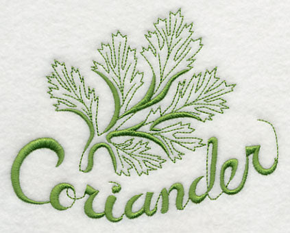 Fresh Coriander