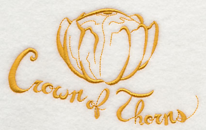 Crown of Thorns Squash