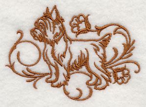 Graceful Yorkshire Terrier