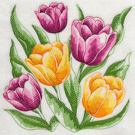 Tulips Sketch