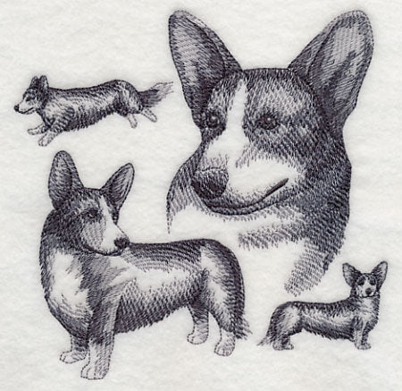 Cardigan Welsh Corgi Sketch