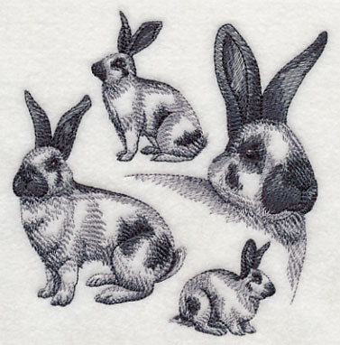 Checkered Giant Sketch