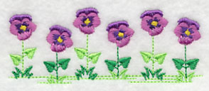 Country Charm Border - Pansy