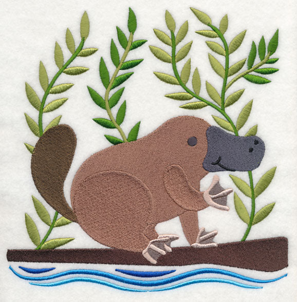 Platypus in the Wild