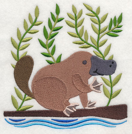 Platypus in the Wild