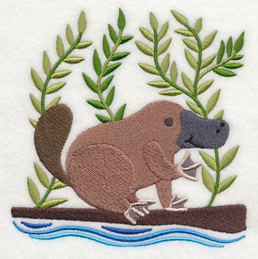 Platypus in the Wild