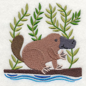 Platypus in the Wild