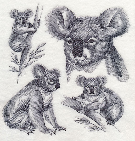 Koala Sketch