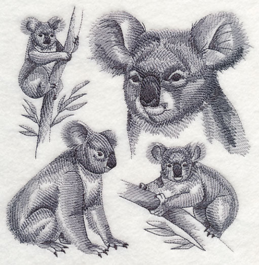 Koala Sketch