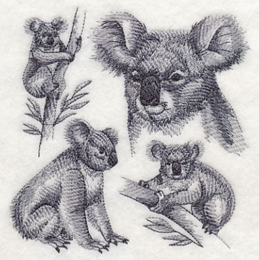 Koala Sketch