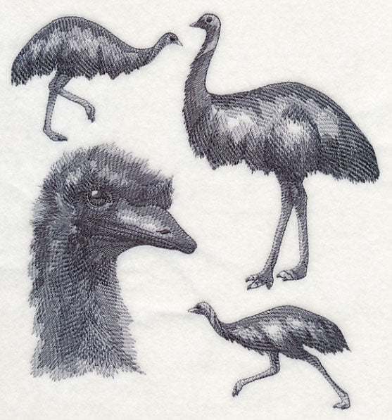 Emu Sketch