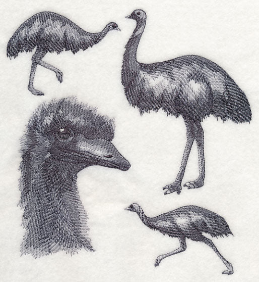 Emu Sketch