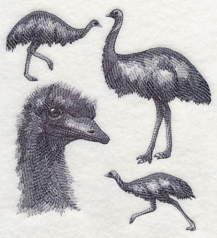Emu Sketch