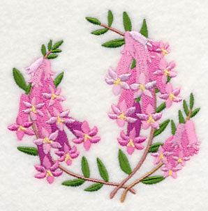 Pink Heath
