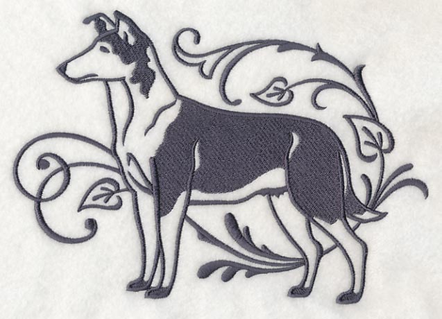 Graceful Smooth Collie