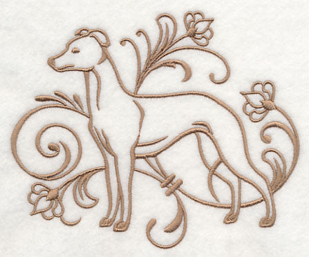 Graceful Whippet