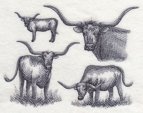 Texas Longhorn Sketch