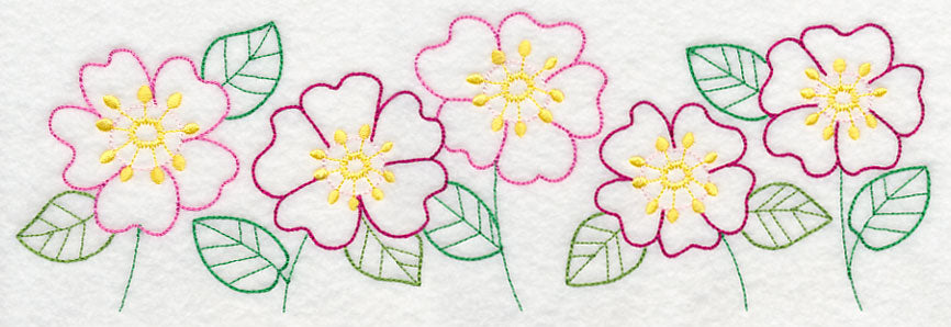 Bright Prairie Rose Border (Vintage)