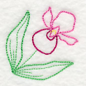 Lovely Lady's Slipper Corner (Vintage)