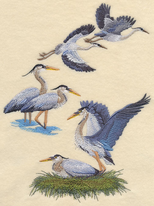 Great Blue Heron Collage