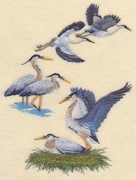 Great Blue Heron Collage