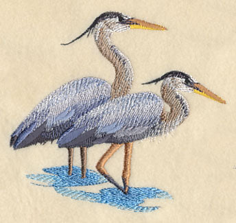 Great Blue Herons Wading