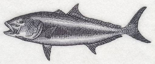 Amberjack Sketch