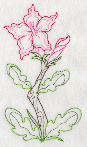 Impala Lily (Vintage)