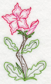 Impala Lily (Vintage)