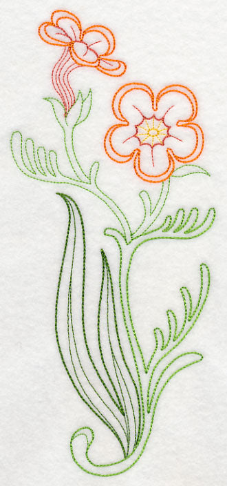 Jamesbrittenia Aurantiaca (Vintage)