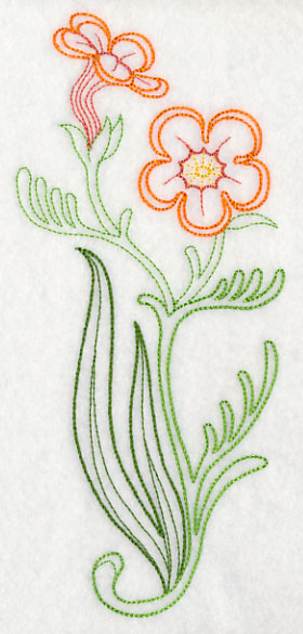 Jamesbrittenia Aurantiaca (Vintage)