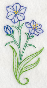 Aristea Africana (Vintage)