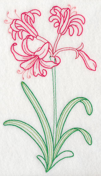 Guernsey Lily (Vintage)