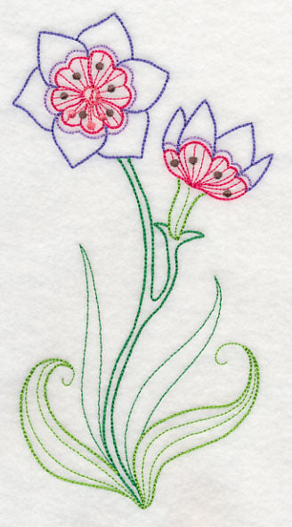 Geissorhiza (Vintage)