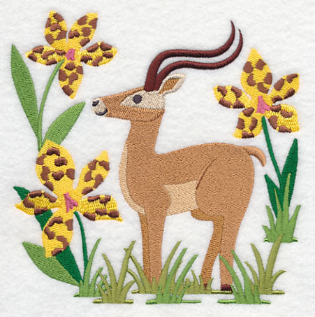 Impala and Tiger Orchid