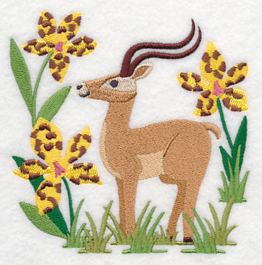 Impala and Tiger Orchid