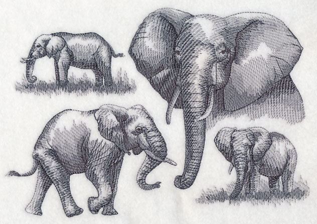 Elephant Sketch