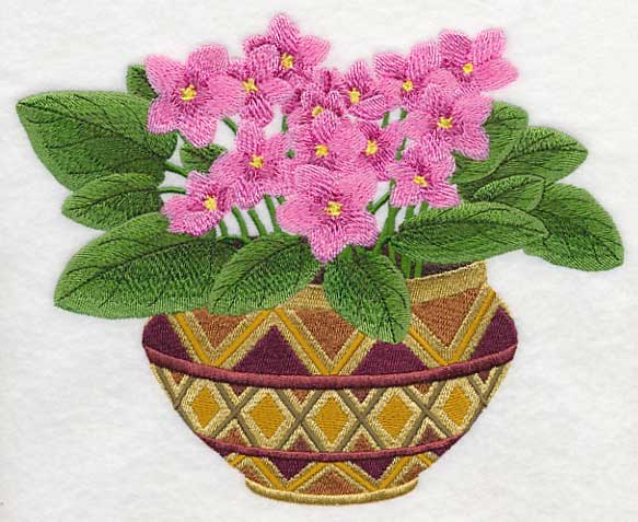 African Violets 1