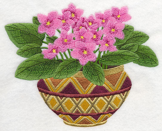 African Violets 1
