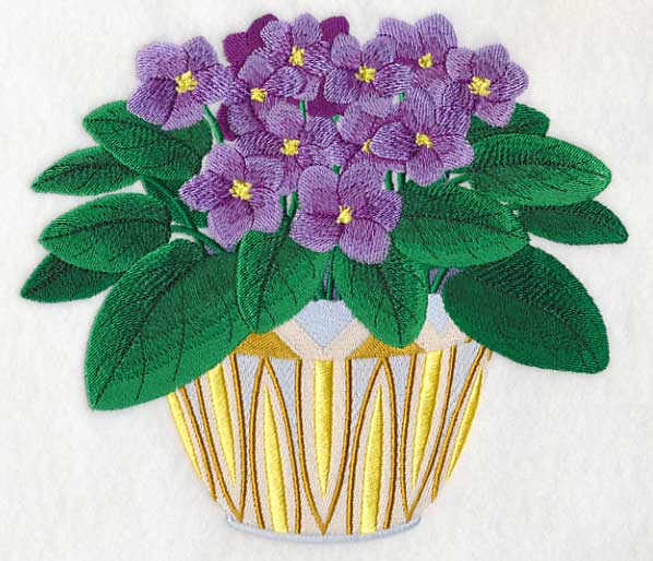 African Violets 2