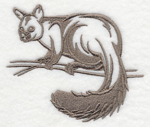 Australian Brushtail Possum Silhouette