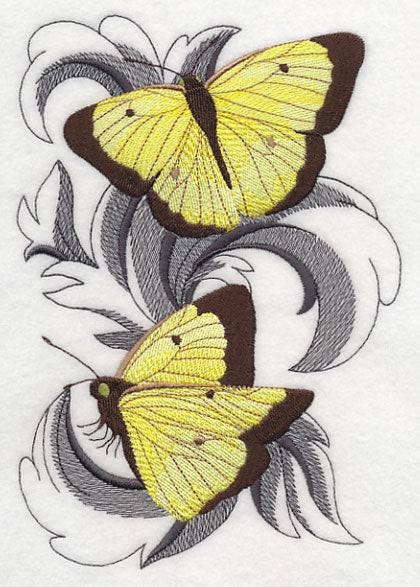 Clouded Sulfur Butterflies with Baroque Background