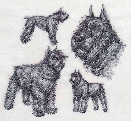 Bouvier de Flanders Sketch (Docked Tail and Cropped Ears)