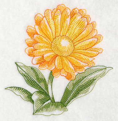 Calendula Beauty