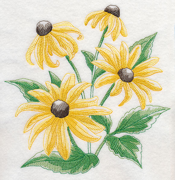 Black-Eyed Susan Sketch
