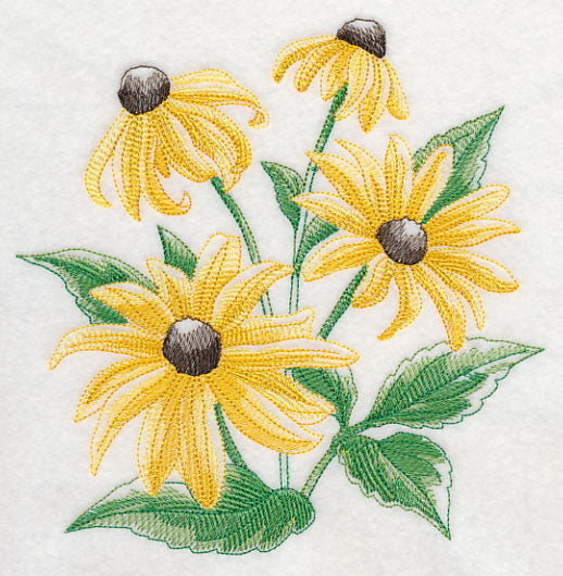 Black-Eyed Susan Sketch