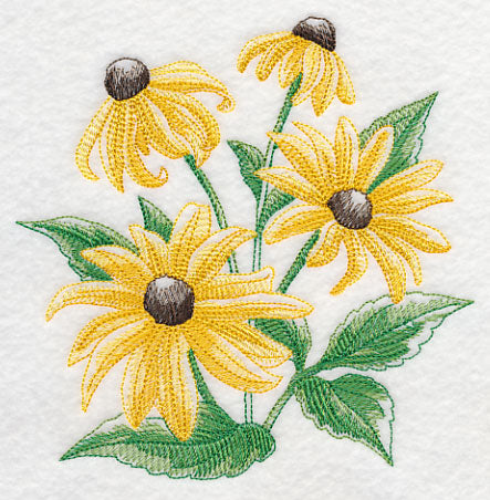 Black-Eyed Susan Sketch